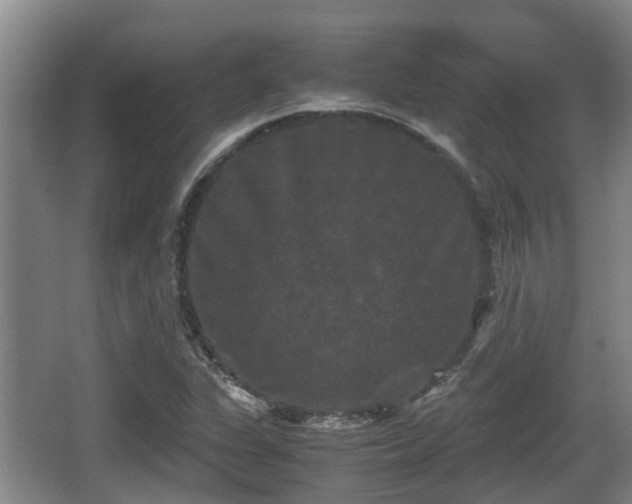 X0000062831311200601171409