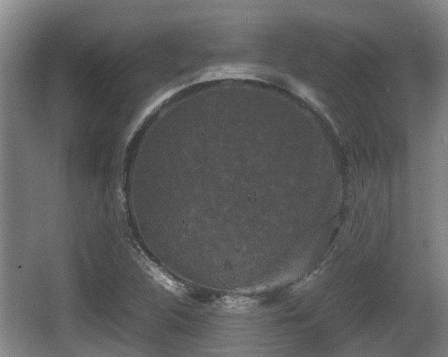 X0000062831312200601171409