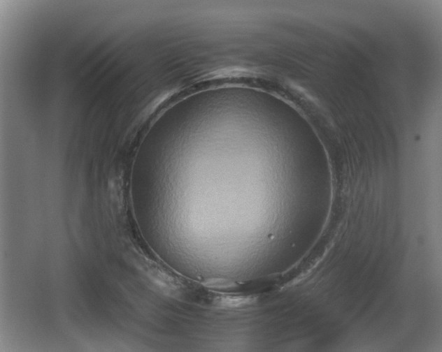 X0000062831313200601171409