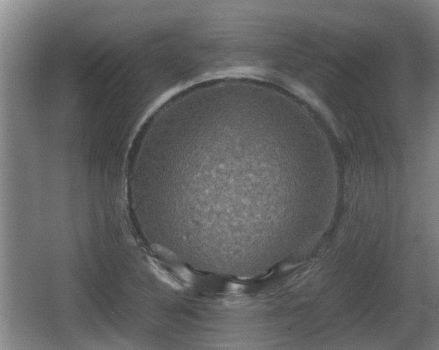 X0000062831316200601171409