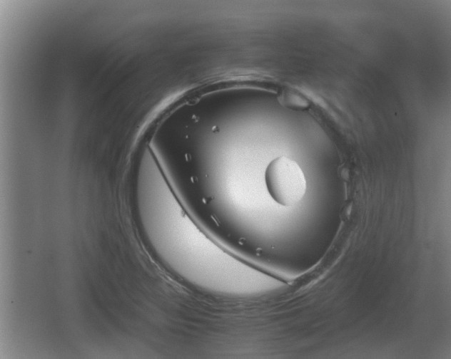 X0000062831317200601171409