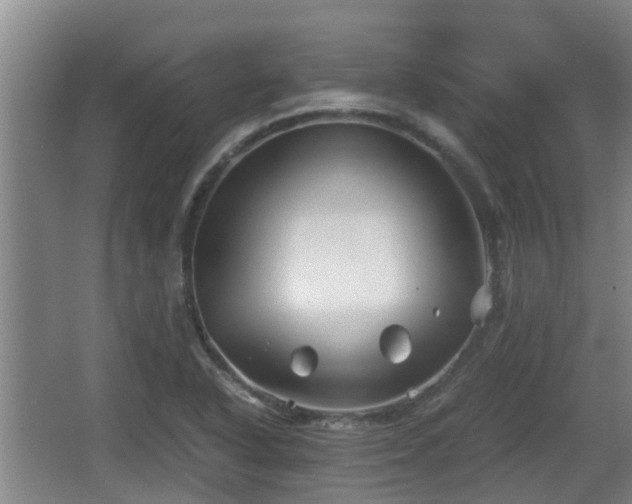 X0000062831318200601171409