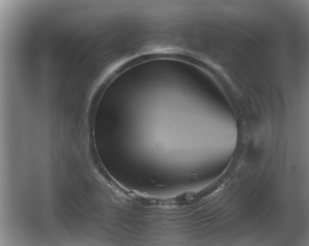 X0000062831319200601171409