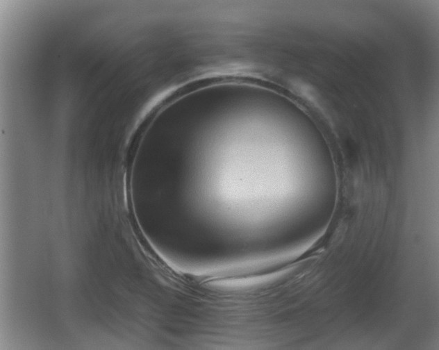 X0000062831320200601171409