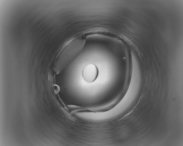 X0000062831321200601171409