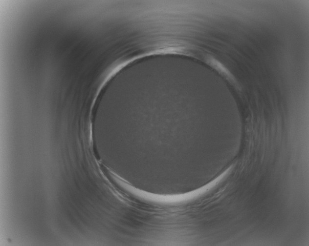 X0000062831324200601171409