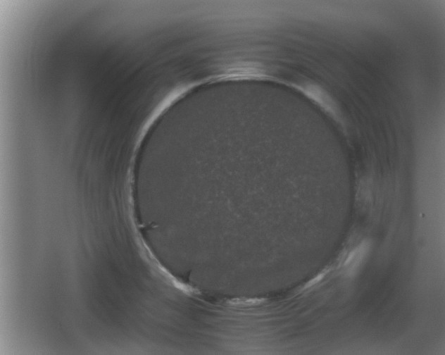 X0000062831325200601171409