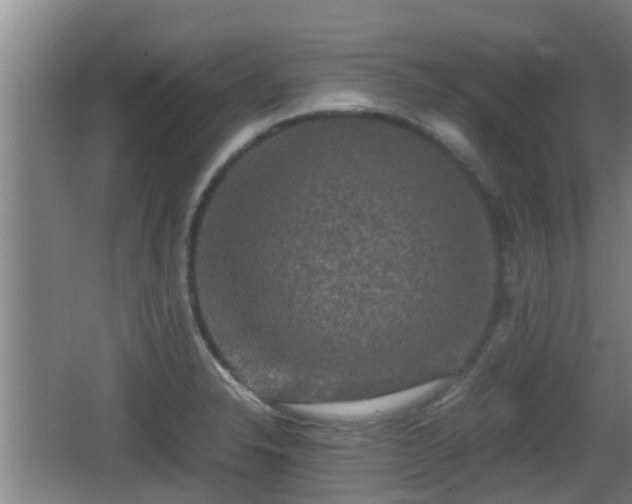 X0000062831326200601171409