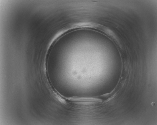 X0000062831328200601171409