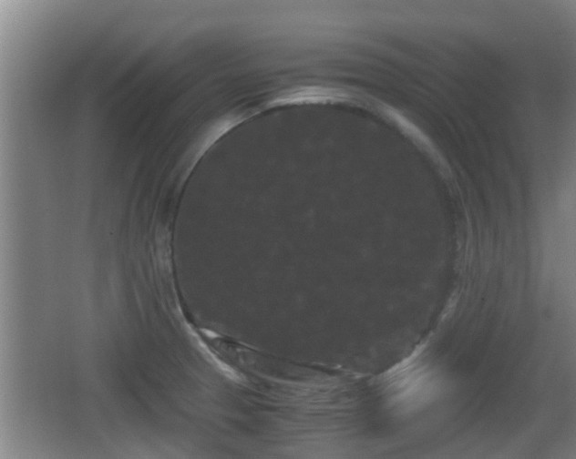 X0000062831329200601171409