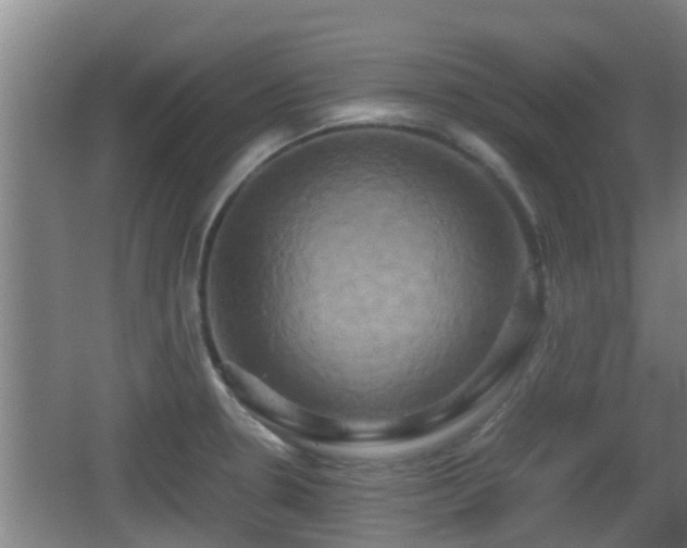 X0000062831330200601171409