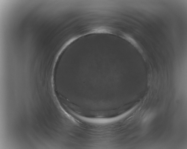 X0000062831331200601171409