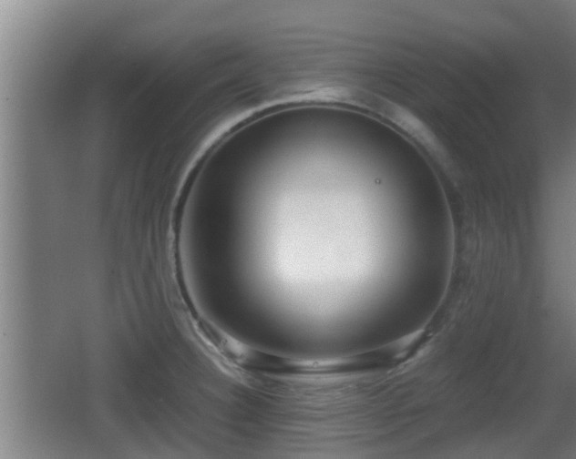 X0000062831332200601171409