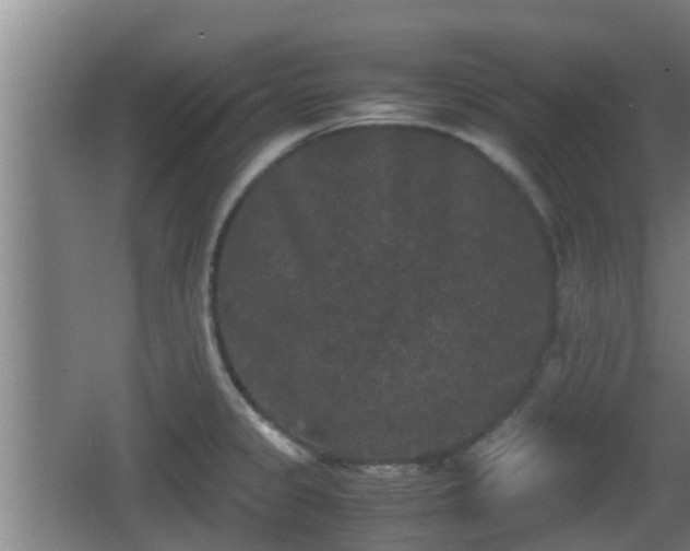 X0000062831333200601171409