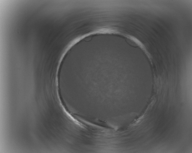 X0000062831335200601171409