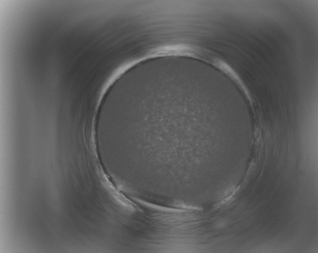 X0000062831336200601171409