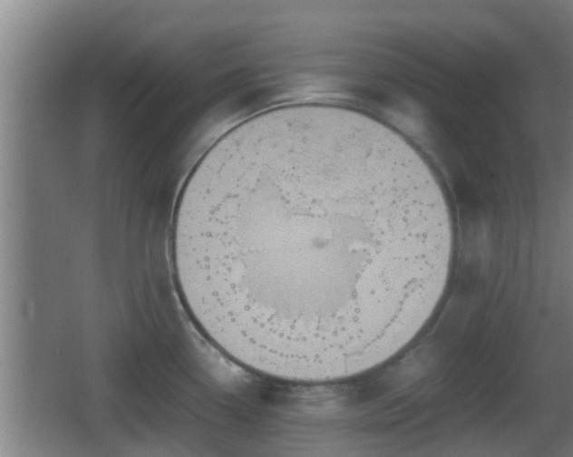 X0000062831338200601171409