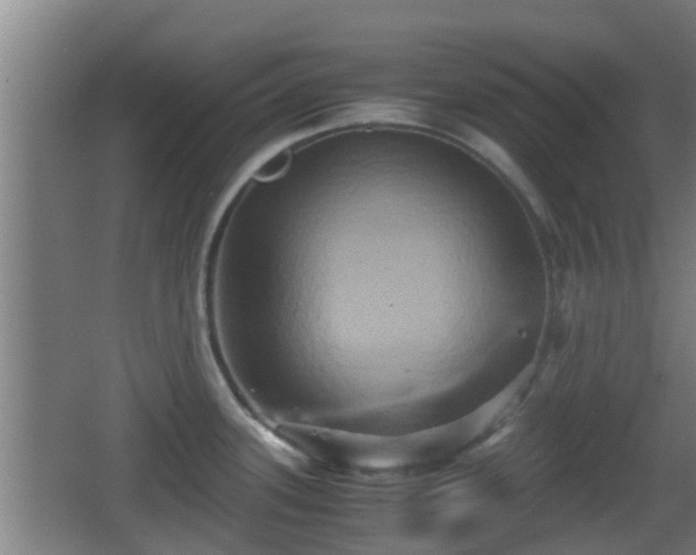 X0000062831339200601171409