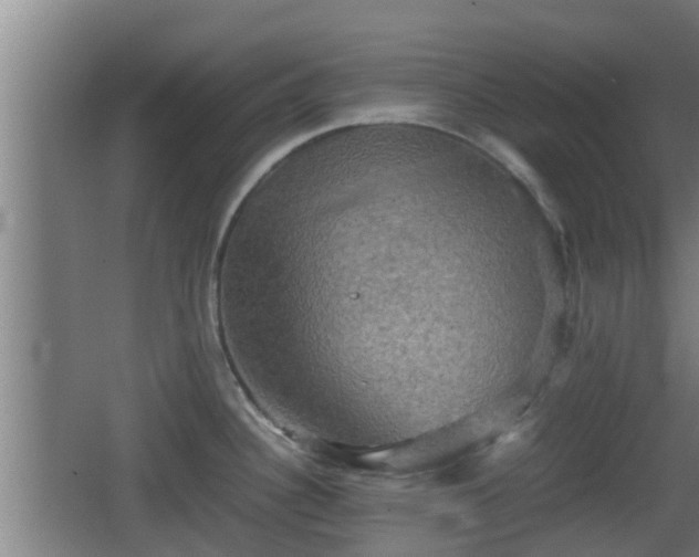 X0000062831340200601171409