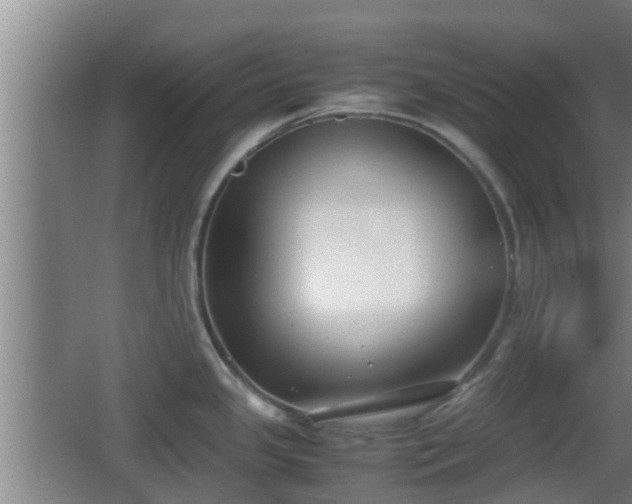 X0000062831341200601171409