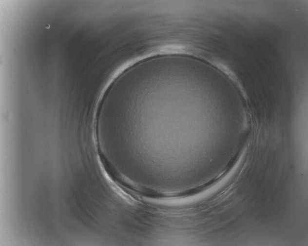 X0000062831342200601171409