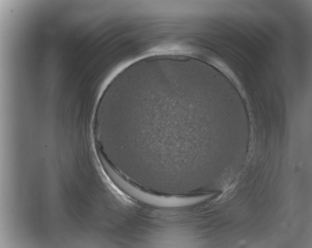 X0000062831344200601171409