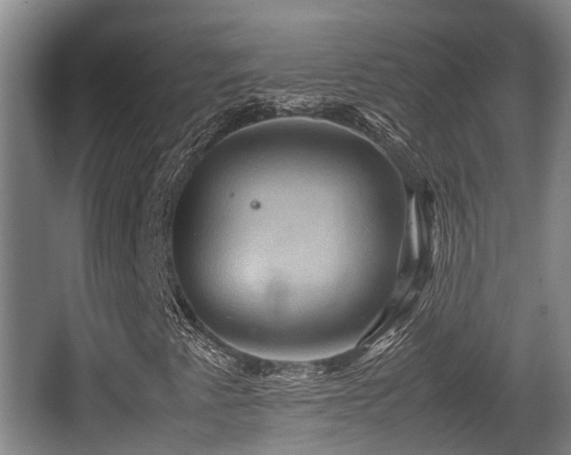 X0000062831345200601171409