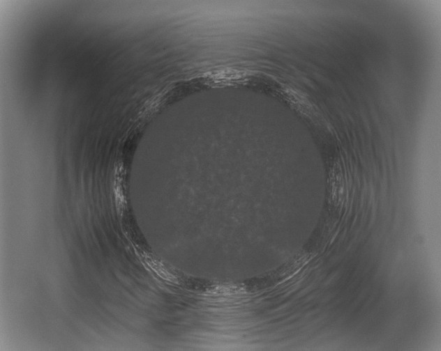 X0000062831346200601171409