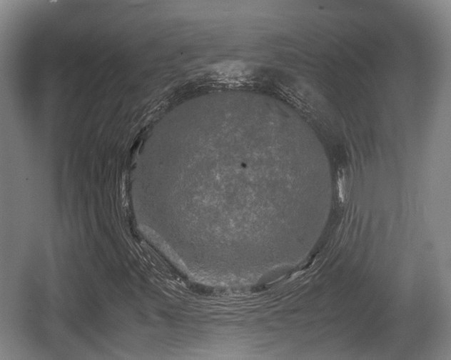 X0000062831347200601171409