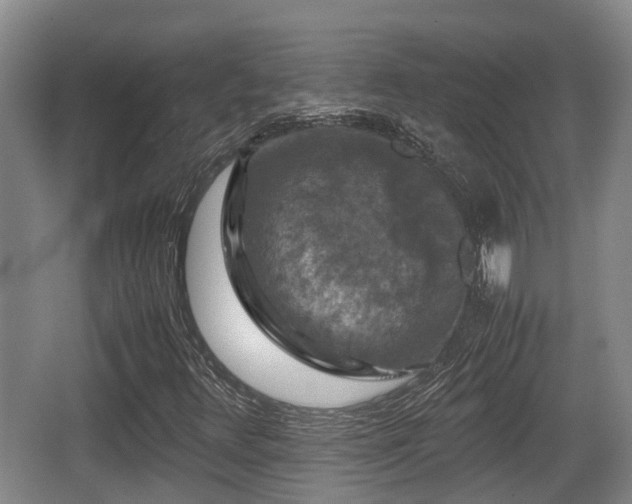 X0000062831348200601171409