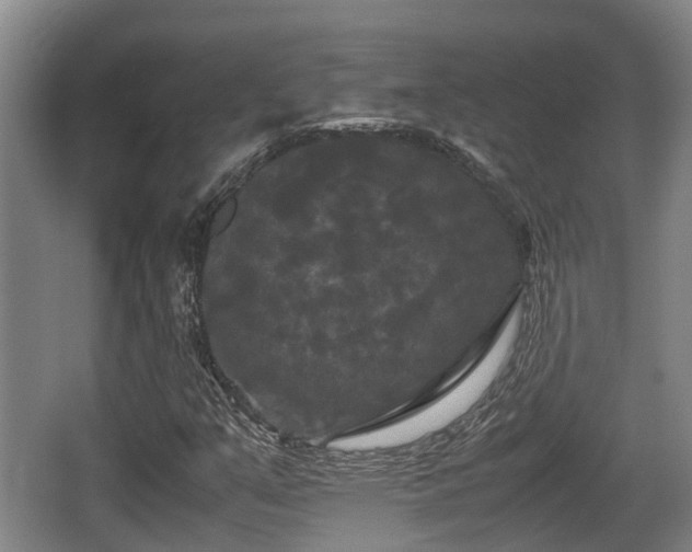 X0000062831351200601171409