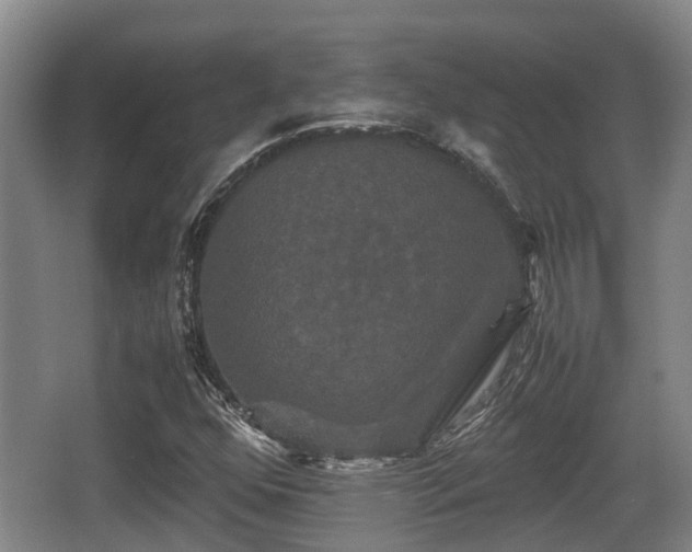 X0000062831352200601171409