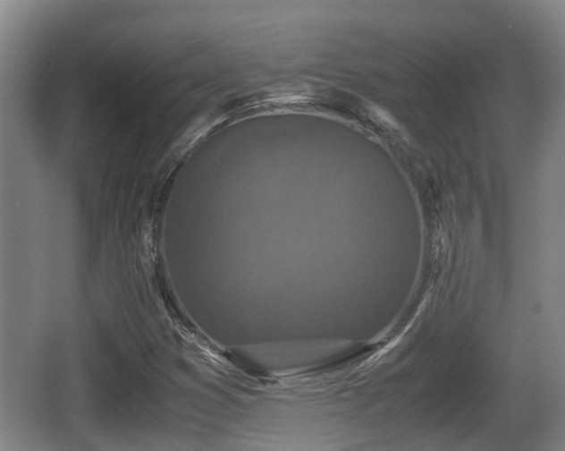 X0000062831353200601171409