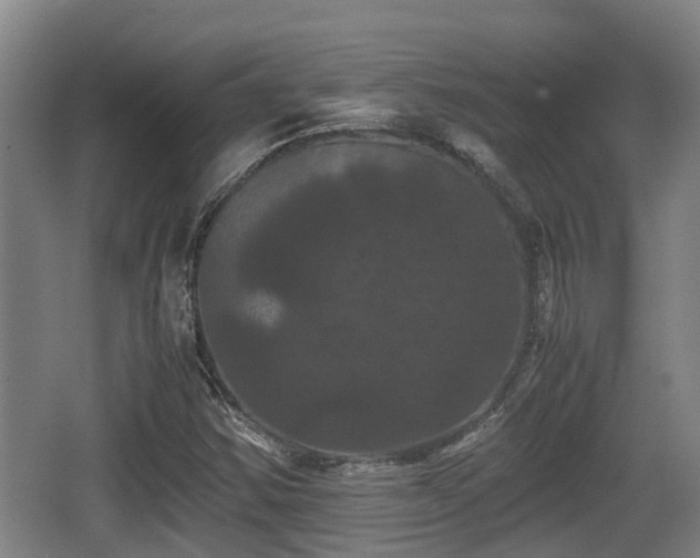 X0000062831354200601171409