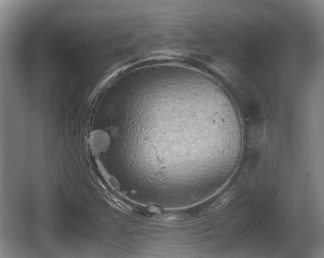 X0000062831355200601171408