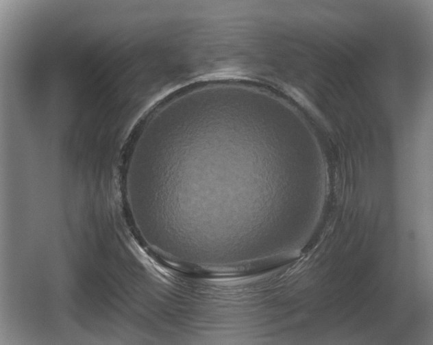 X0000062831356200601171408