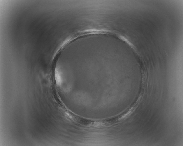 X0000062831357200601171408