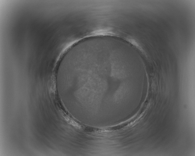 X0000062831358200601171408