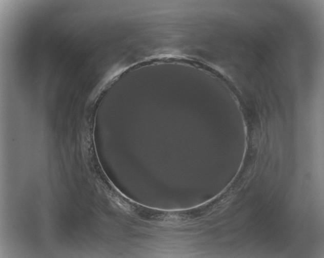 X0000062831359200601171408