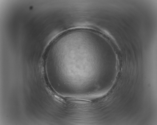 X0000062831360200601171408