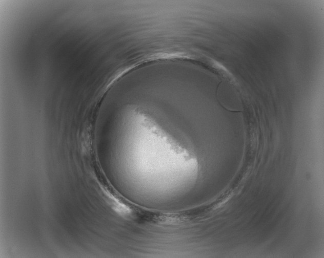 X0000062831361200601171408