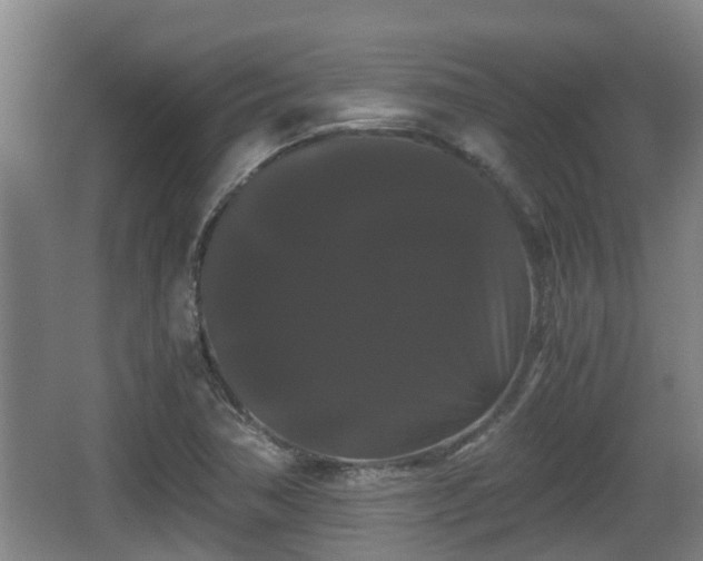 X0000062831362200601171408