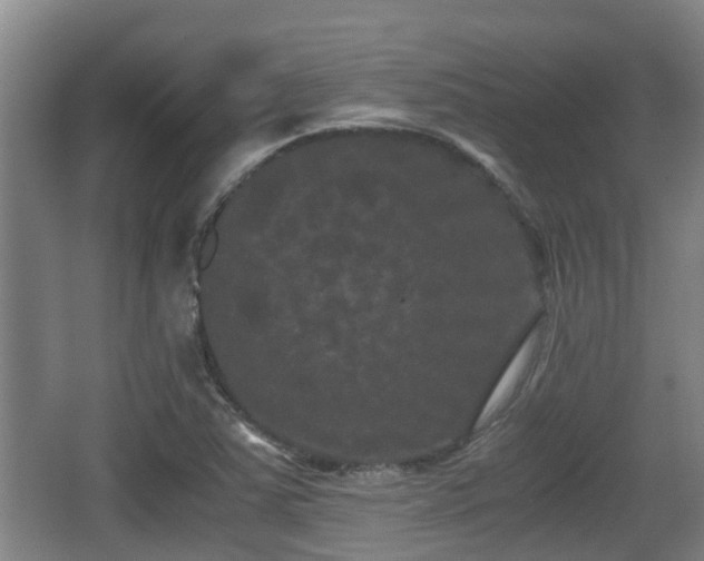 X0000062831363200601171408