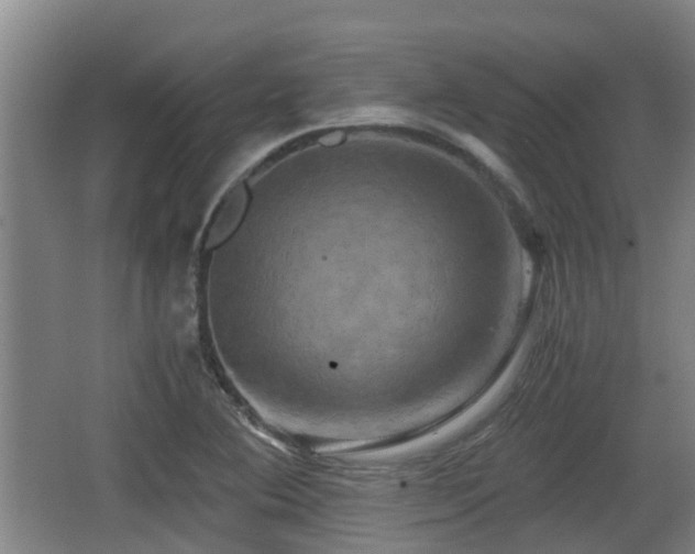 X0000062831364200601171408