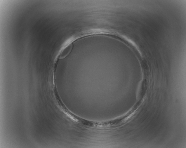 X0000062831365200601171408