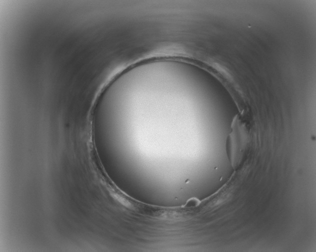 X0000062831366200601171408