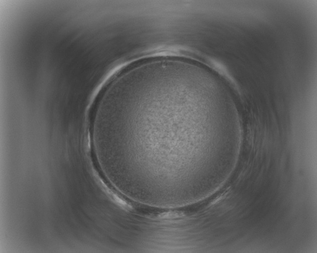 X0000062831368200601171408