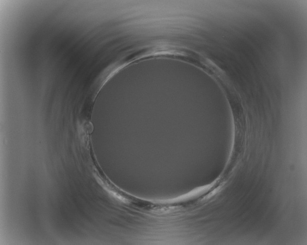 X0000062831369200601171408