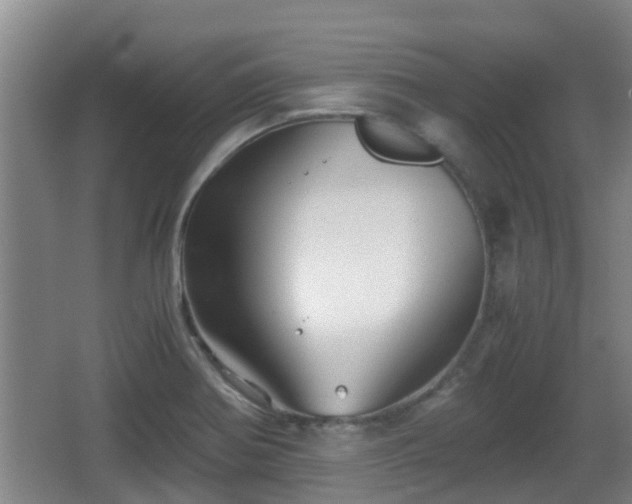 X0000062831370200601171408