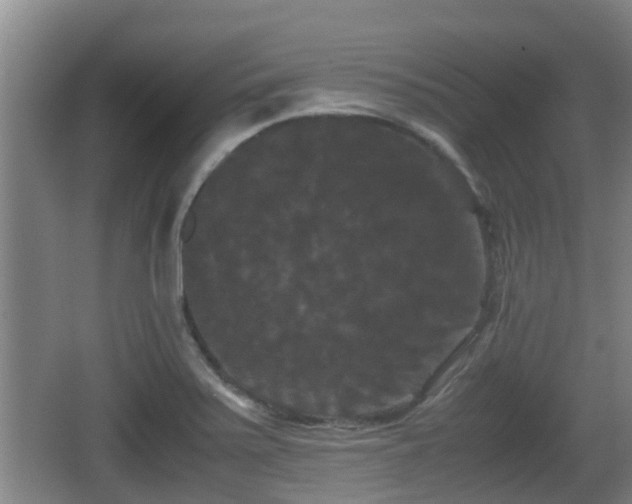 X0000062831371200601171408